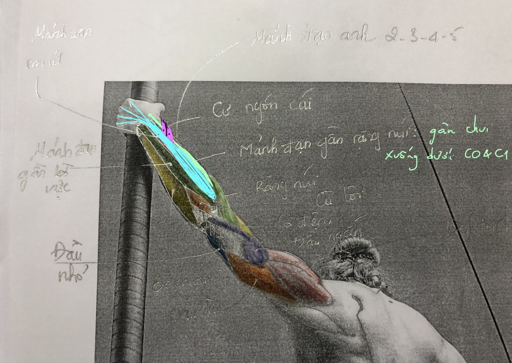 Hoai-Uyen-assignment