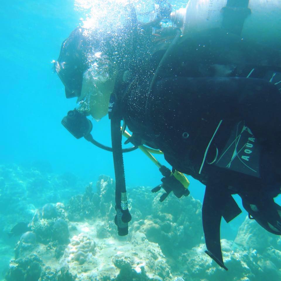 Phạm Trần Minh Trang